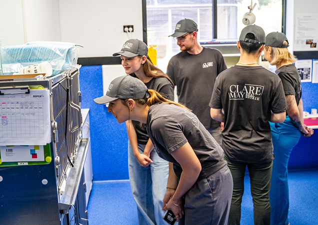 Clare May Real Estate team seeing behind the doors of our RSPCA Animal Hospital.